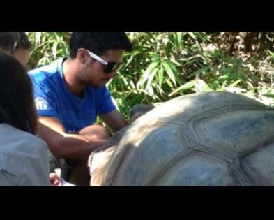 Selleys Araldite Helps Wilbur The Giant Tortoise