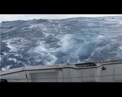 Selleys Knead It Comes To The Rescue