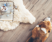 4 Ways To Winterproof Your Home